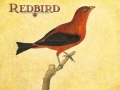 Hold On ~ Redbird
