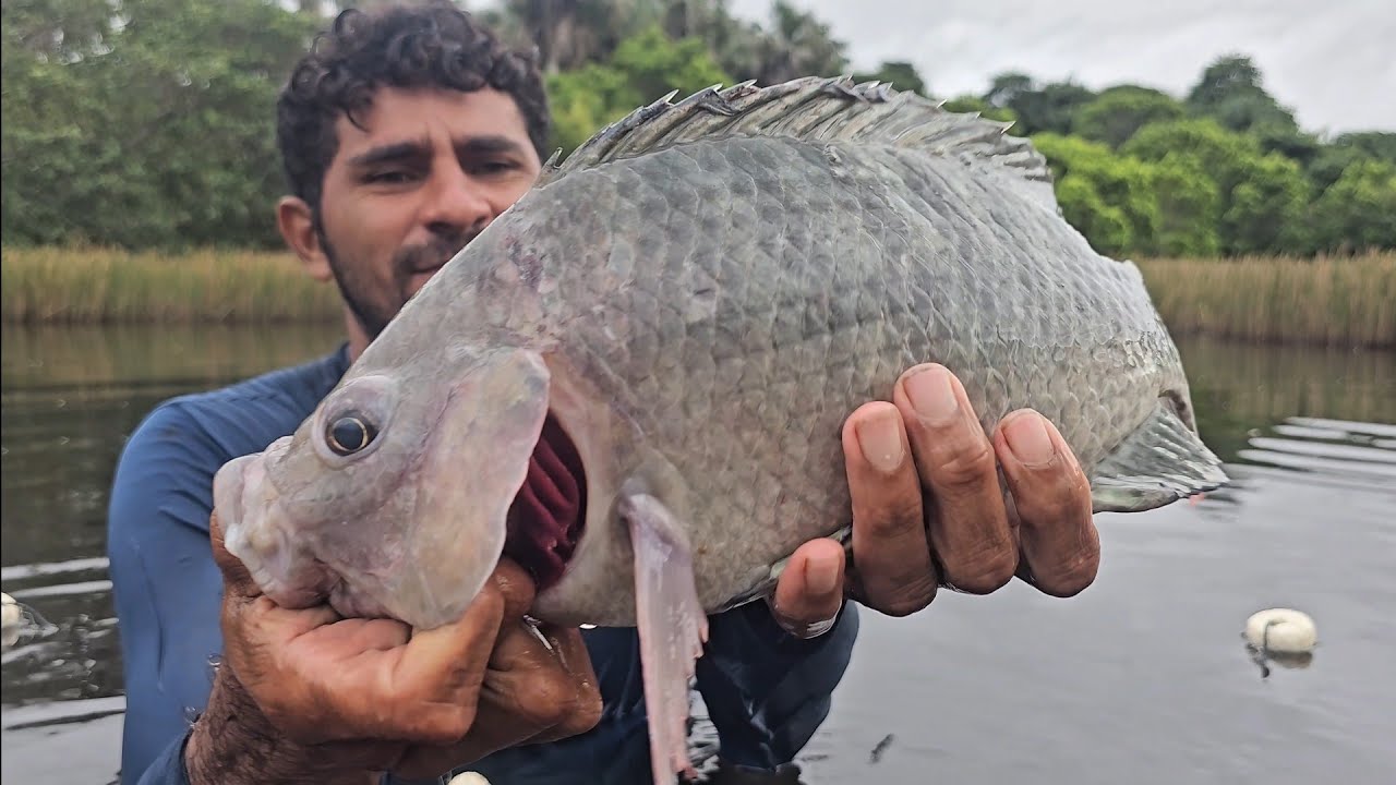 SOBREVIVÊNCIA NA MATA SELVAGEM. LOBO SOLITÁRIO.