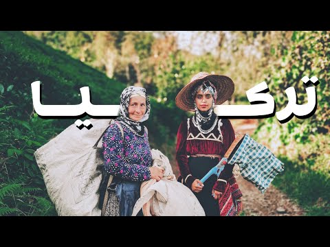 (رحلتي إلى الشمال التركي 2020 ( طرابزون-اوردو-حيدر نبي -ايدر-ريزا- اوزنجول