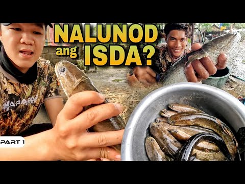P1 - Talangka at Malalaking Dalag sa Unang Agos - EP1904