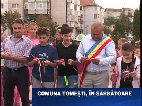 Tomesti in sarbatoare