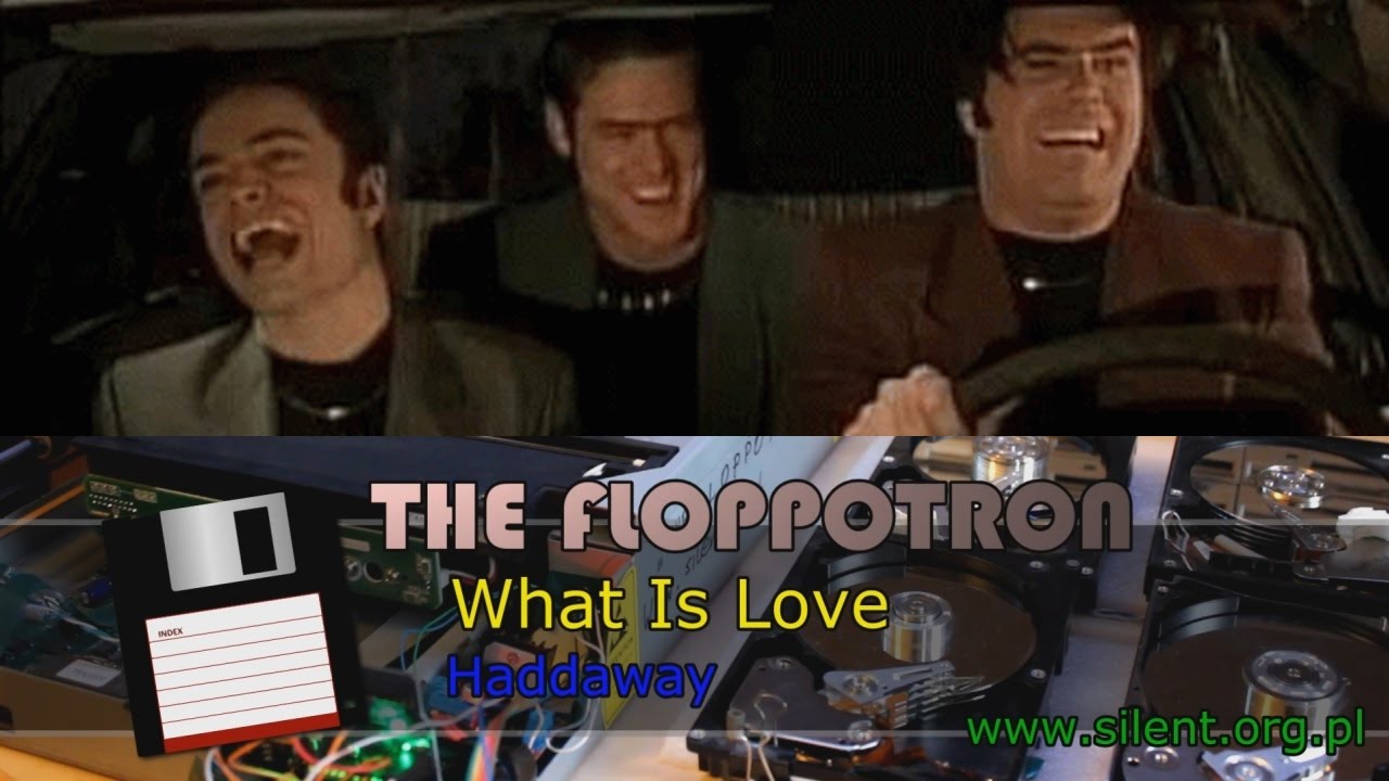 The Floppotron: What Is Love - YouTube