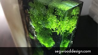 Epoxy L.E.D. Lamp - poplar wood, clear epoxy with black epoxy background