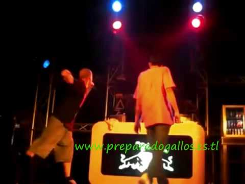 Mister VS Yusty - Completo con Audio Mejorado - www preparadogallos es tl