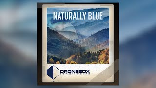 dbx0047 Naturally Blue
