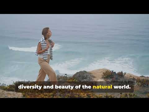 Sergipe - Um Segredo Nordestino Revelado   Praias, Cultura e Belezas Naturais Inesquecíveis