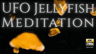 12 Hours of Pure Serenity: Glowing UFO🛸Jellyfish🪼&amp; Relaxing Sleep Music. 4K/UHD