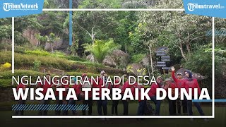 Desa Nglanggeran, Jadi Desa Wisata Terbaik di Dunia Versi UNWTO Ada Di Gunung Kidul