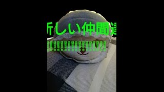 新しい仲間達!!!!!!!!!!!!!!!!