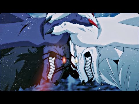 LoBo negro 🆚 LoBo blanco |AMV| (white wolf VS black wolf)