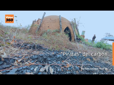 “Piratas del carbón” talan y queman valiosas especies madereras del bosque chiquitano en Santa Cruz