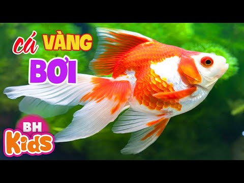 Cá Vàng Bơi Karaoke - Hai Vây Xinh Xinh Cá Vàng Bơi Trong Bể Nước | Nhạc Thiếu Nhi Vui Nhộn