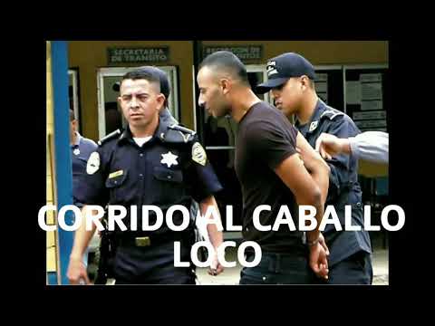 CORRIDO A CABALLO LOCO