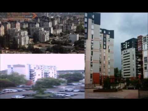 Mentalité DAMMARIENNE