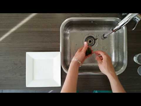 Aquaplantsonline - How to... In Vitro behandeling/In Vitro plant treatment