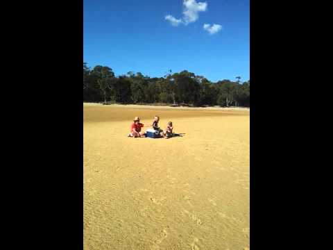 aaron crow beach baseball