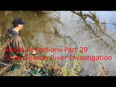 Roach Reflections Part 29 - Close Season River Investigation