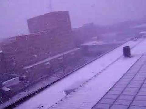 Snow In Stockholm (19-03-2008)