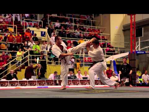 european championship shin/kyokuschin  2012 karate deurne antwerpen