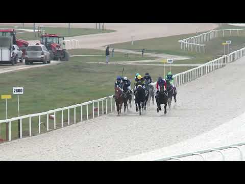 2020.12.20. 06. futam - GUBACSI DŰLŐ HENDIKEP (V.o.) (szintetikus pálya