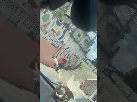 Cidade em Sergipe: Neópolis, Localizada no baixo São Francisco, é conhecicida nacionalmente