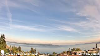 Poverty Bay  - Puget Sound / Seattle Area Live Cam #livecam live webcam