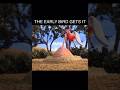 EARLY BIRD GETS THE WORM 💀#fy #shorts #short #fyp #shortvideo #tiktokvideo #fyptiktok #4k #trump