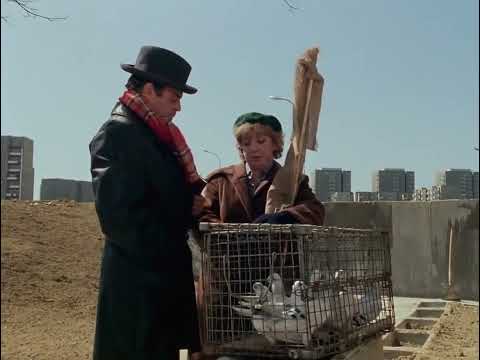 Alternatywy 4 (1983) Odc.6 "Gołębie" ...żadnych gołębi tolerować nie będę...