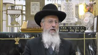 הגאון הרב אברהם יוסף שליט"א מה יעשה אדם שטעה ולא הבדיל בתפלה סימן רצד סעיף ב (הרב אברהם יוסף) - התמונה מוצגת ישירות מתוך אתר האינטרנט יוטיוב. זכויות היוצרים בתמונה שייכות ליוצרה. קישור קרדיט למקור התוכן נמצא בתוך דף הסרטון