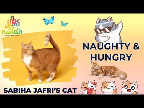 Cute & Hungry Cat || Sabiha Jafri  k Sath || Khel Tamasha