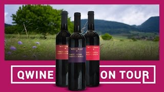 Pinot noir 2018 Package - Die Terroir -Trilogie
