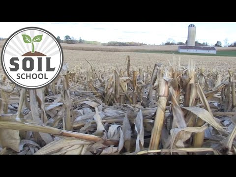 Soil School: Does organic matter really matter?