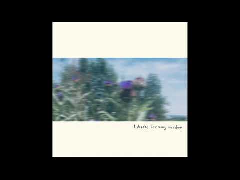 tabache - Teeming Meadow (2021) FULL EP