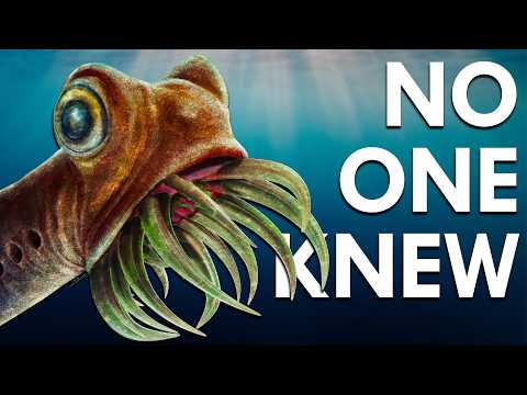 What On Earth Were The Conodonts?