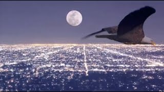 "Some Of Them Will Fool You" by Louise Goffin