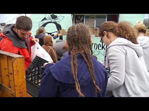 Local food bank donations