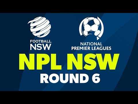 NPL NSW, Round 6, Hakoah Sydney City East FC v APIA Leichhardt Tigers FC #NPLNSW