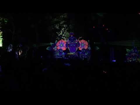 Sychotria @ essence - Belo Horizonte