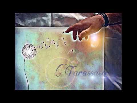 14. (Bonus Track) Un nuovo Mattino