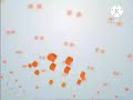 Channel Ident 1 January 2013 1 October 2018 Astro Channel TWO 4 3 Version Fanmade