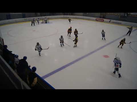 Pingviinit Kuninkaat (AA) - Kisa-Eagles (AA) 1.4.2018 11:00 - 1. erä, osa 1