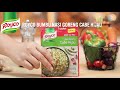Resep Lezat Bernutrisi TUMIS LABU SIAM TONGKOL