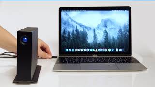 LaCie d2 Professional (4TB)_동영상_이미지