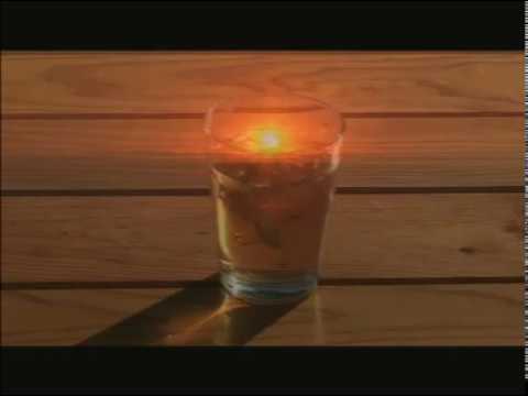 Pedro Moutinho - Copo de sol