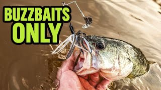 Buzzbait Challenge! Catching Fish Using ONLY Buzzbaits