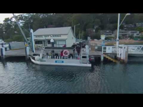 Dive Spear and Sport Northern Beaches
