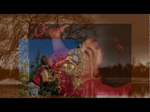 'tis Autumn video