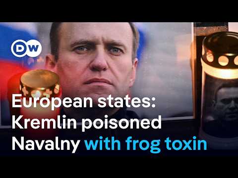 Russian opposition leader Navalny poisoned by Kremlin, five European nations say | DW News