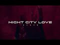 Skeler Thank You Ft Dido Night City Love Remix