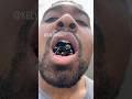Eastern Carpenter Bees
